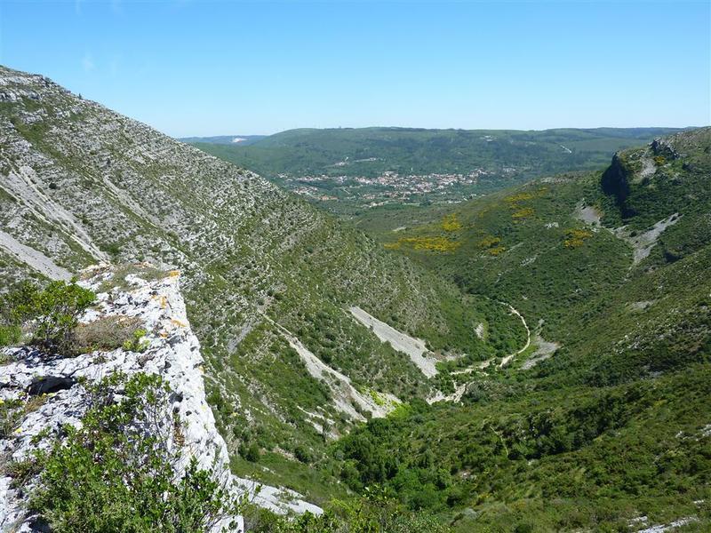 P1130254
