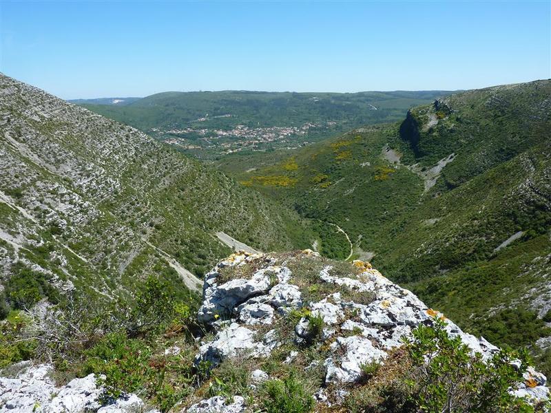 P1130259