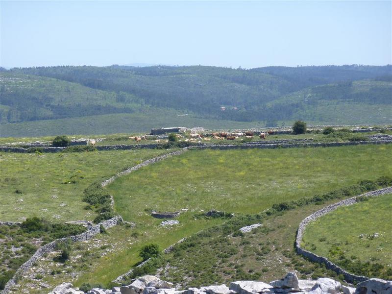 P1130300