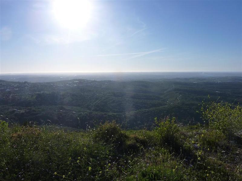 P1130527