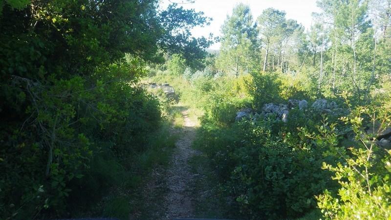 bmps2003 (113)