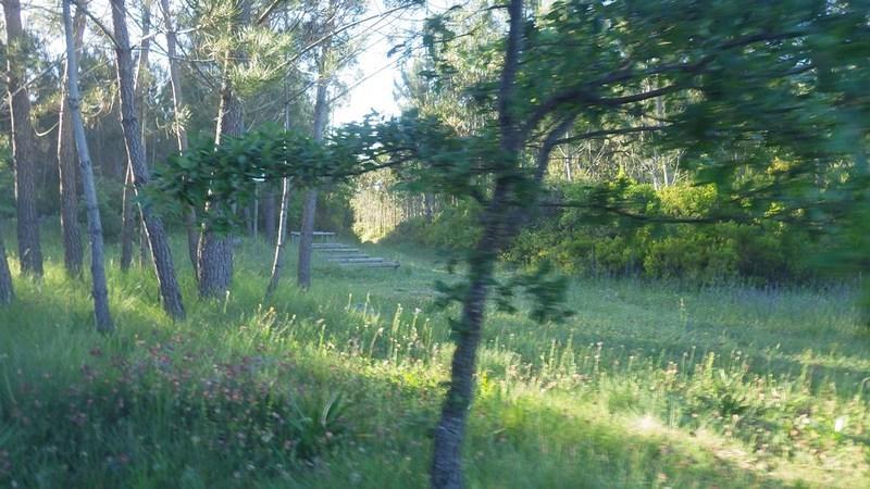 bmps2003 (173)