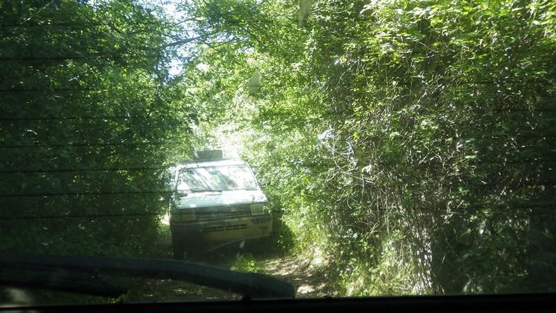 bmps2003 (3)