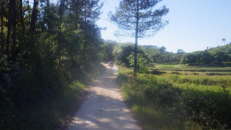 bmps2003 (35)