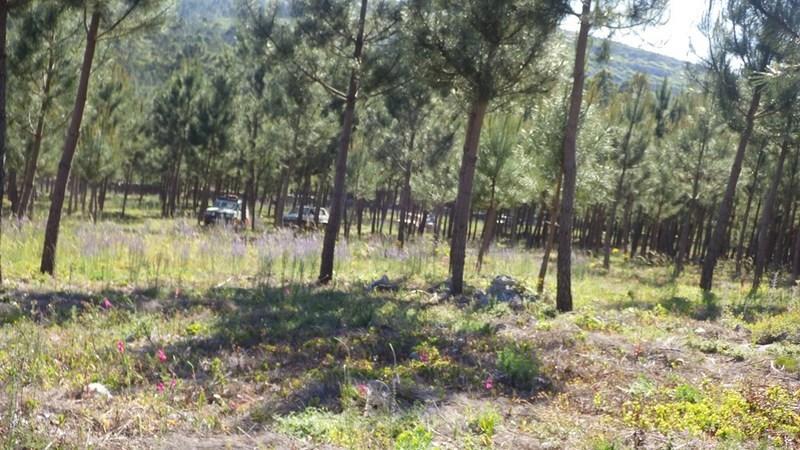 bmps2003 (68)