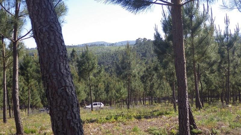 bmps2003 (71)