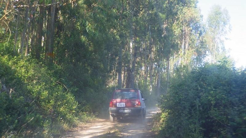 bmps2003 (78)