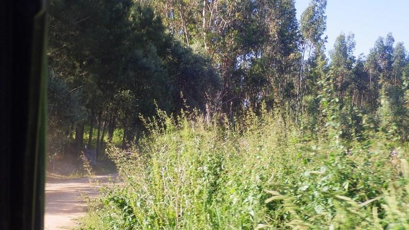 bmps2003 (80)