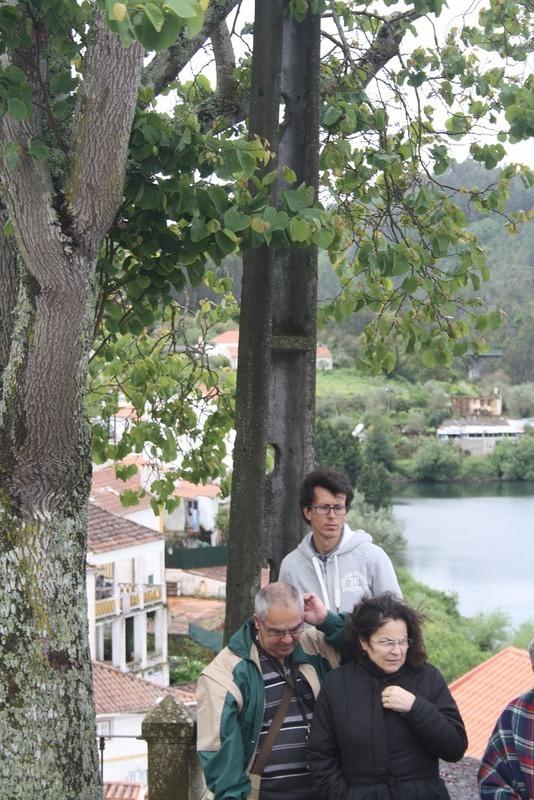 IMG 9178 (683x1024)