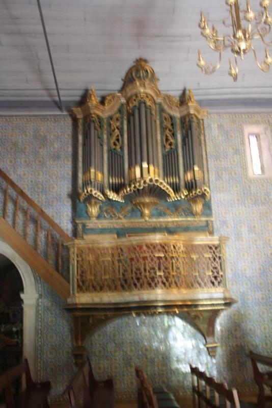IMG 9179 (683x1024)