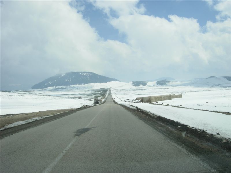 DSCN2115