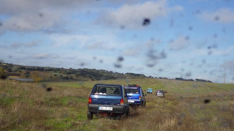 bmps2003 Pandas (11)