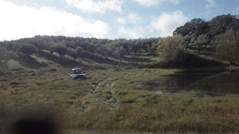 bmps2003 Pandas (16)