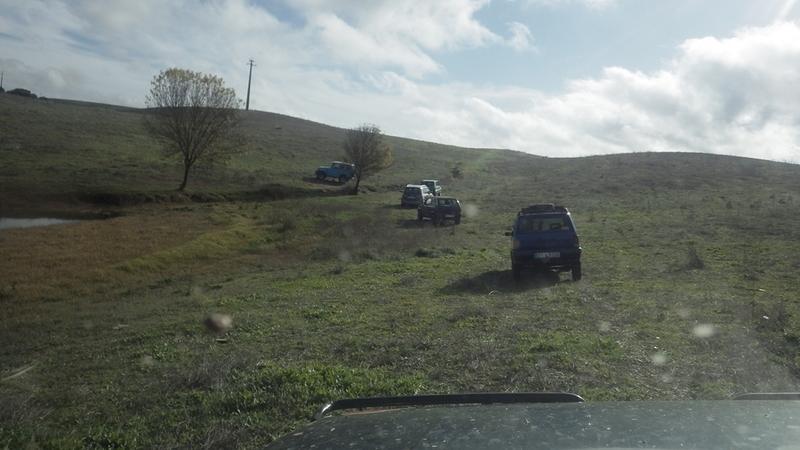 bmps2003 Pandas (19)