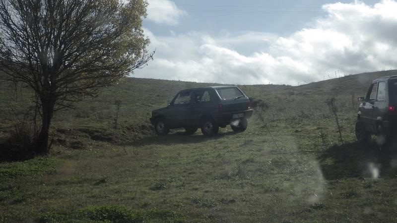 bmps2003 Pandas (20)