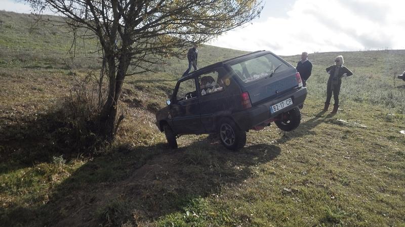 bmps2003 Pandas (23)