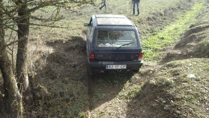 bmps2003 Pandas (25)
