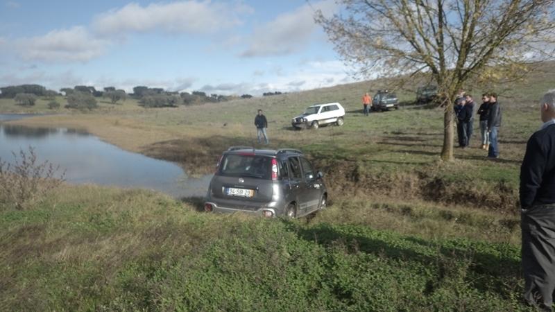bmps2003 Pandas (31)