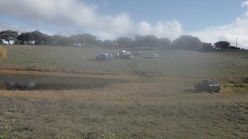 bmps2003 Pandas (36)