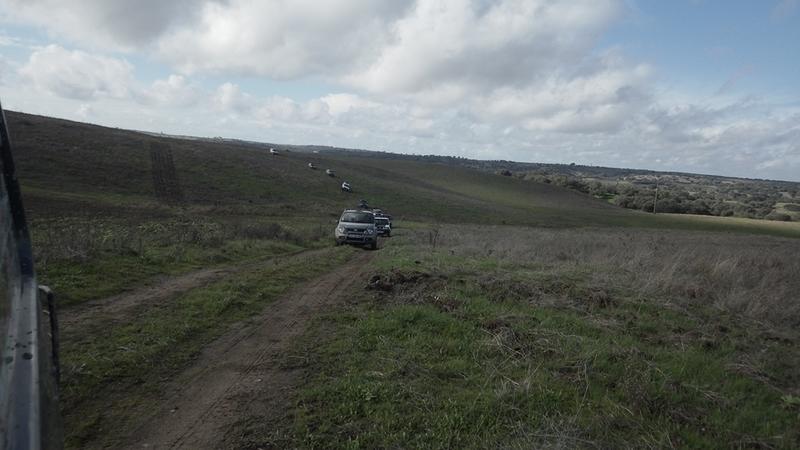 bmps2003 Pandas (39)