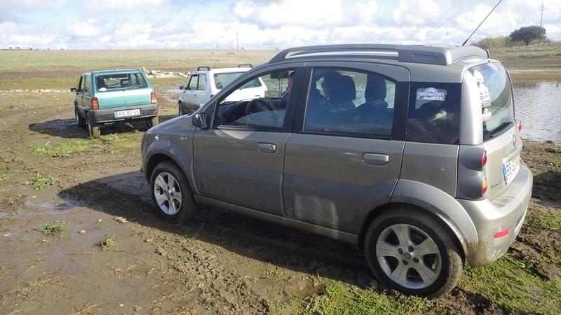 bmps2003 Pandas (49)