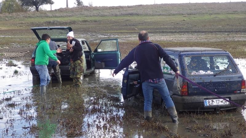 bmps2003 Pandas (61)
