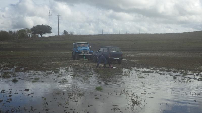 bmps2003 Pandas (67)