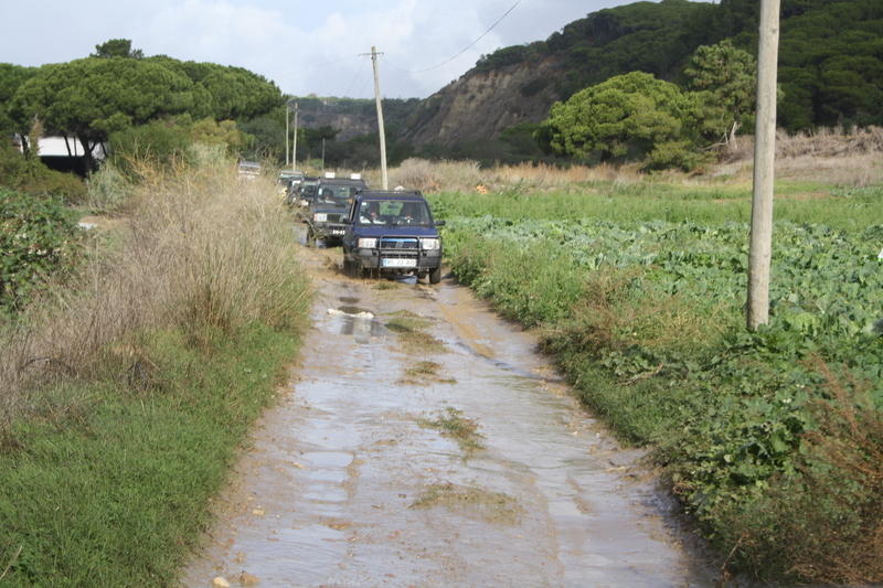 IMG 9676