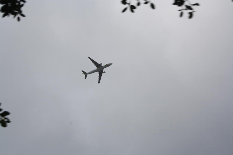 IMG 9689