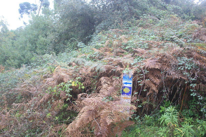 IMG 0408 Easy-Resize.com
