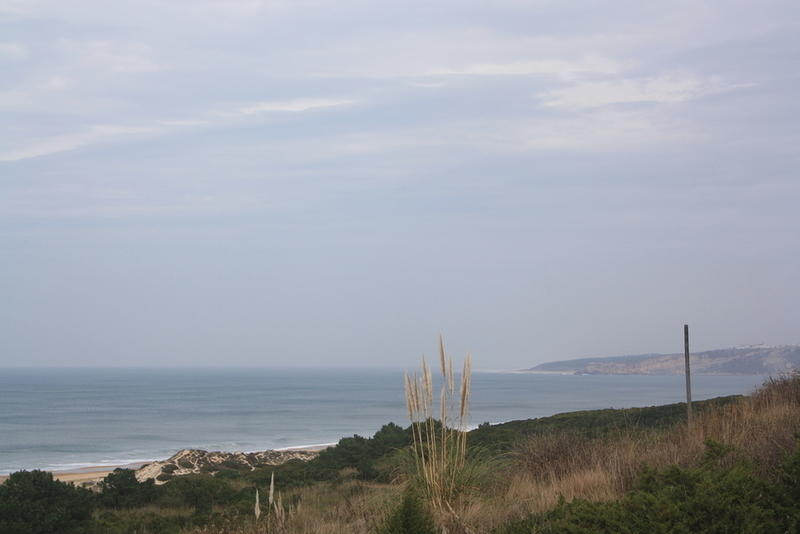 IMG 0419 Easy-Resize.com