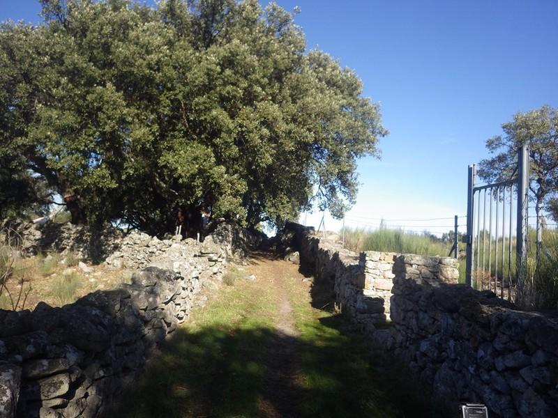 bmps (26)