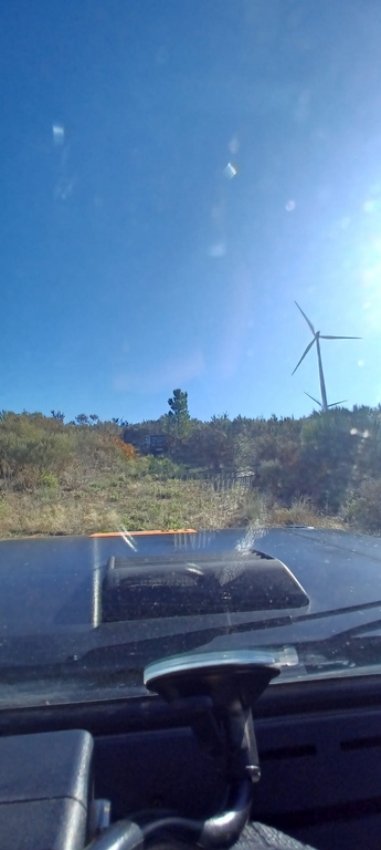 S119 TiagoBica (10)