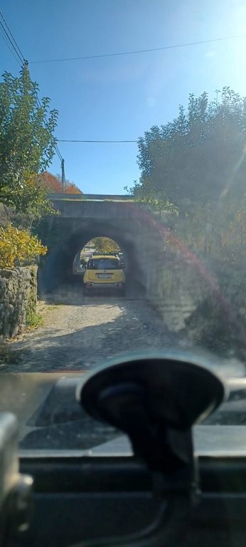 S119 TiagoBica (5)