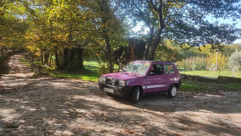 S65 Susana2 (27)