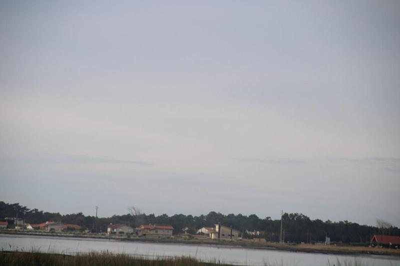 IMG 3907