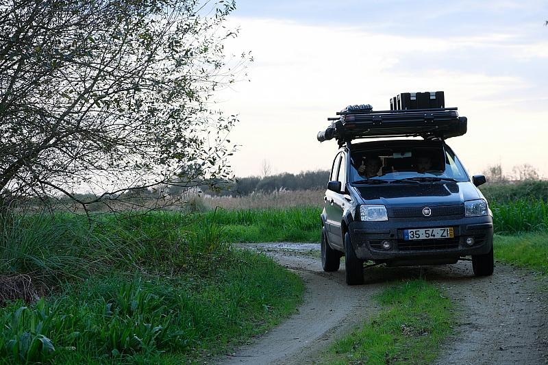 smss78 (168)
