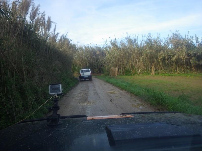 bmps2003 (16)