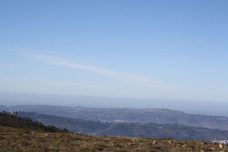 IMG 9890