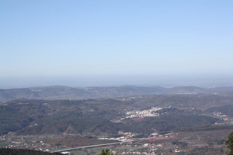 IMG 9898