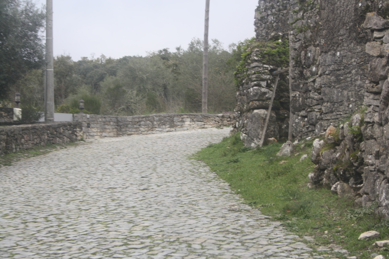 IMG 0537