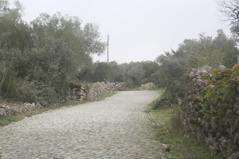 IMG 0538