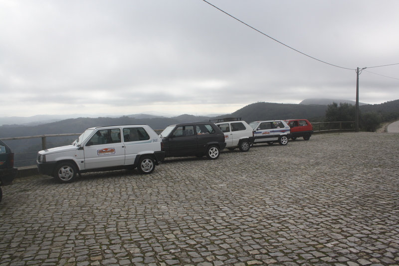 IMG 0542