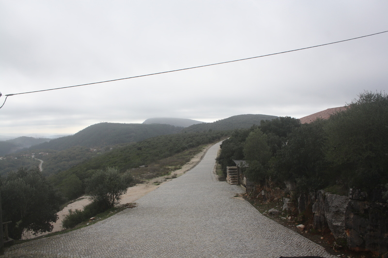 IMG 0551