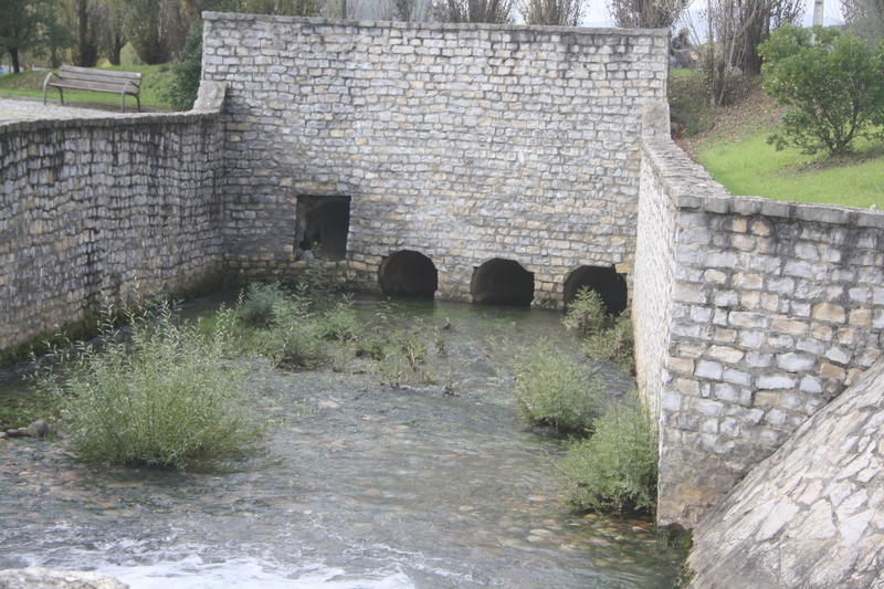 IMG 0580
