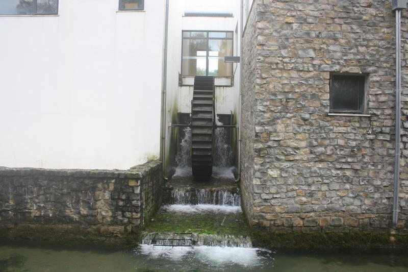 IMG 0581