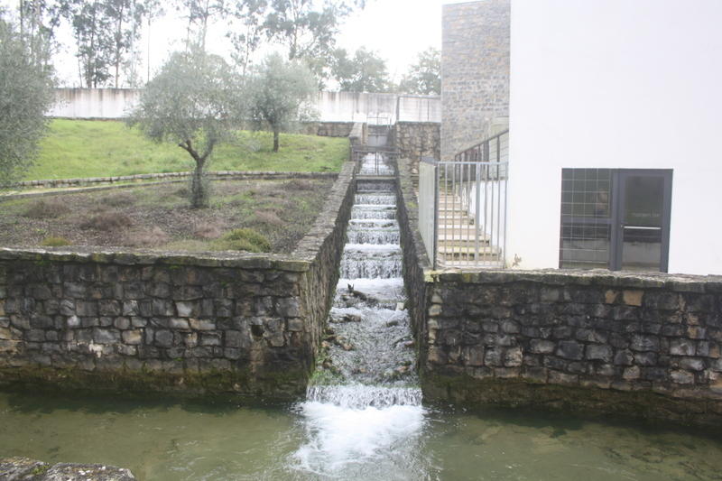 IMG 0582