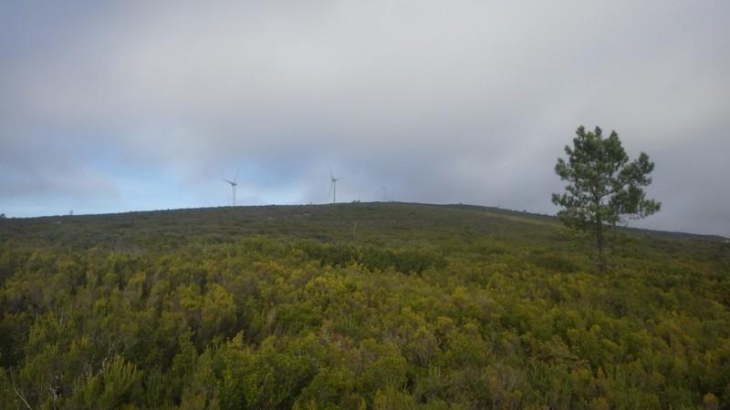 bmps2003 (14)