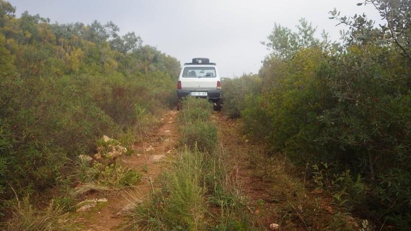 bmps2003 (16)