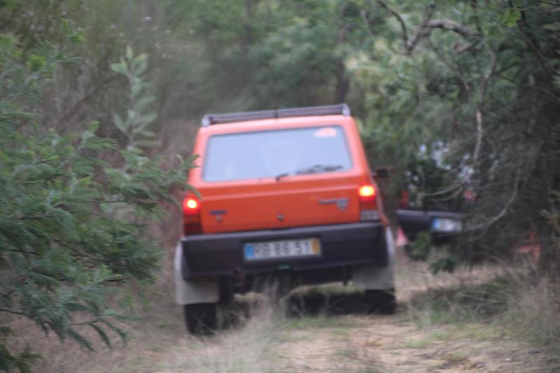 mini IMG 0649